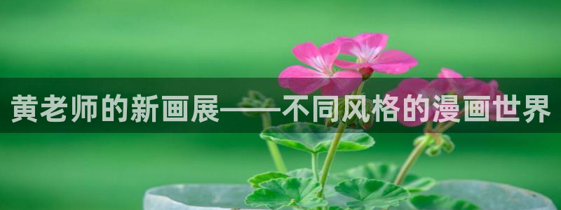 韩漫漫画免费无删减：黄老师的新画展——不同风格的漫画世界