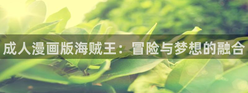 韩漫漫画app官方下载最新版：成人漫画版海贼王：冒险与梦想的融合